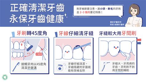 牙齒數量命運|碧礽牙醫診所